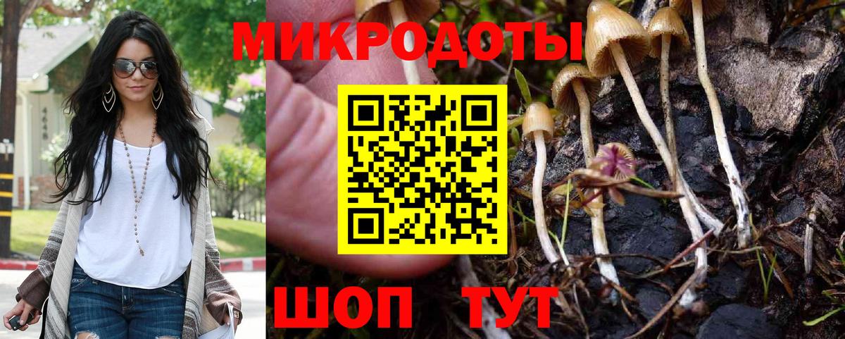 как найти   Псилоцибиновые грибы MAGIC MUSHROOMS  Уссурийск  Вход с VPN  Псилоцибиновые грибы Cubensis 