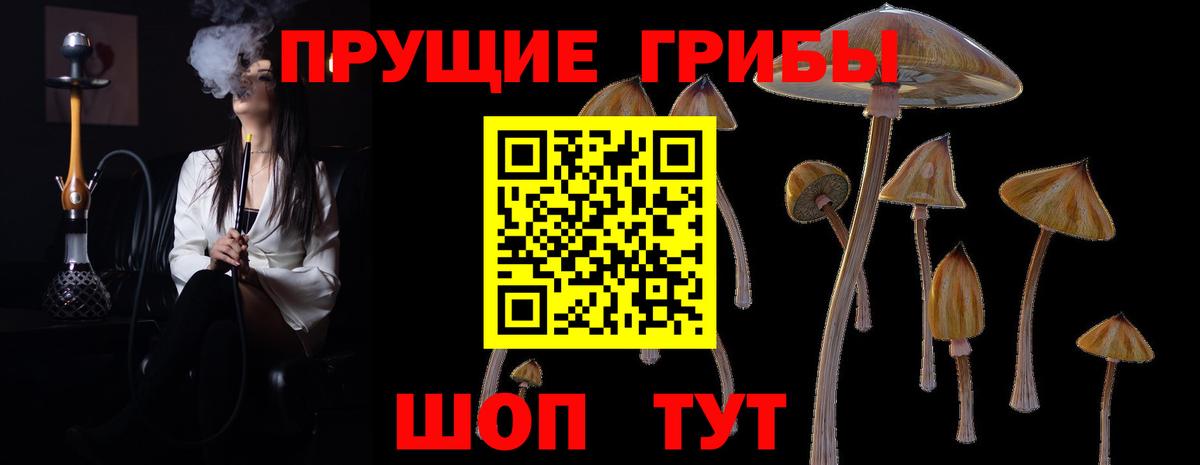 Псилоцибиновые грибы мухоморы Уссурийск